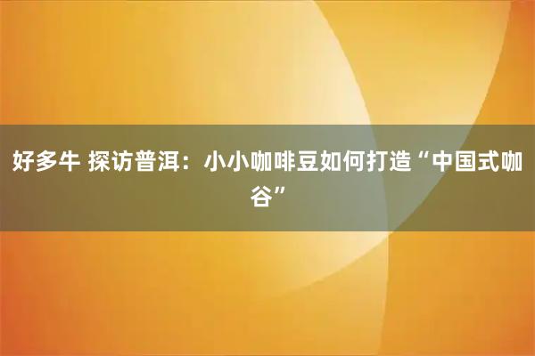 好多牛 探访普洱：小小咖啡豆如何打造“中国式咖谷”