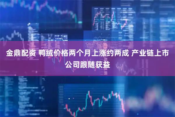 金鼎配资 鸭绒价格两个月上涨约两成 产业链上市公司跟随获益